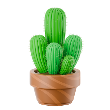 선인장 냄비  3D Icon