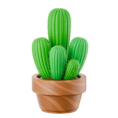 선인장 냄비  3D Icon