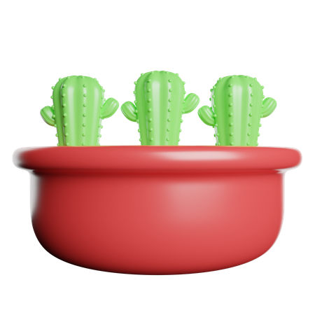 Cactus Pot  3D Icon