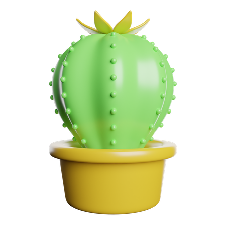 Cactus Pot  3D Icon