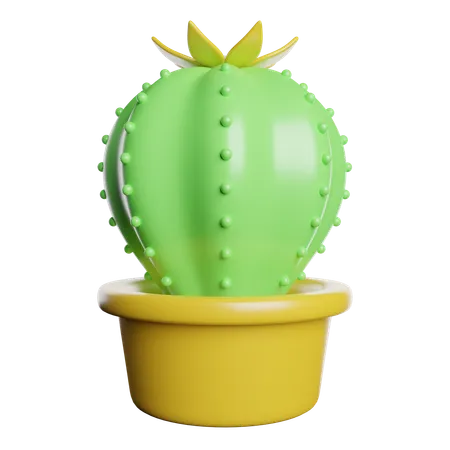 Cactus Pot  3D Icon