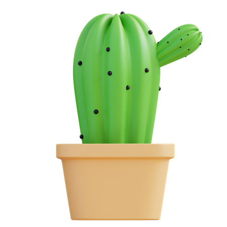 Cactus Pot  3D Icon