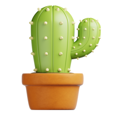 Cactus Pot  3D Icon