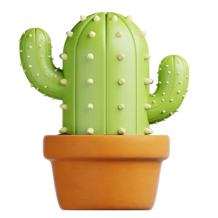 Cactus Pot  3D Icon