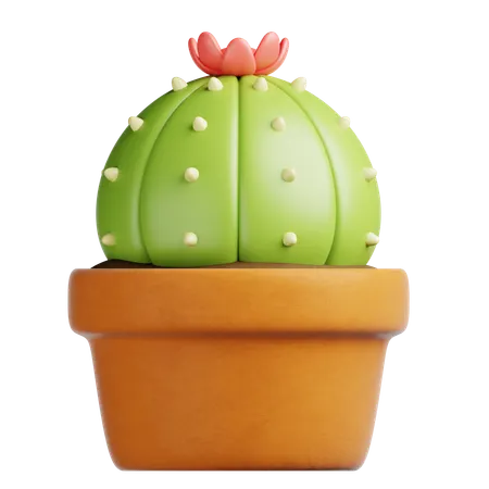 Cactus Pot  3D Icon