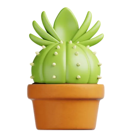 Cactus Pot  3D Icon