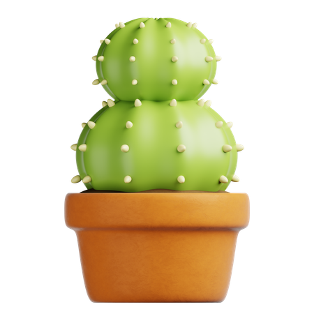 Cactus Pot  3D Icon