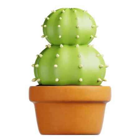 Cactus Pot  3D Icon