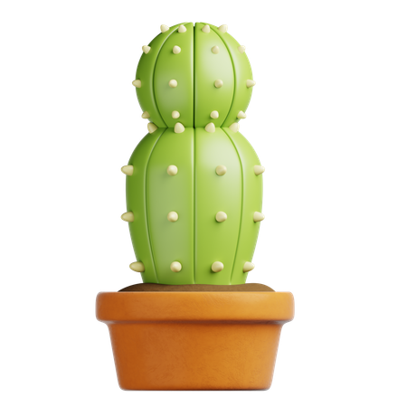 Cactus Pot  3D Icon