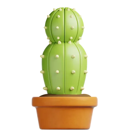 Cactus Pot  3D Icon