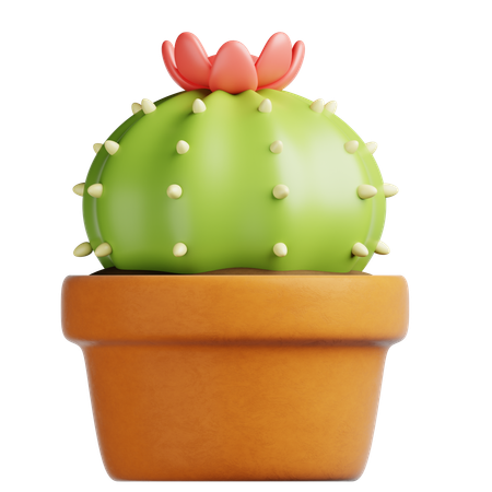 Cactus Pot  3D Icon