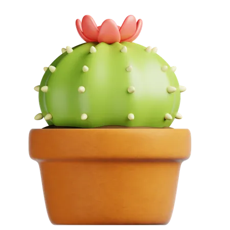 Cactus Pot  3D Icon