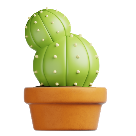 Cactus Pot  3D Icon