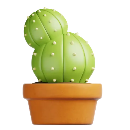 Cactus Pot  3D Icon