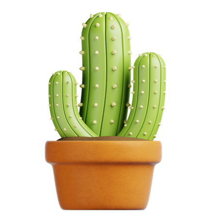 Cactus Pot  3D Icon