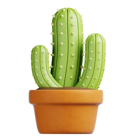 Cactus Pot  3D Icon