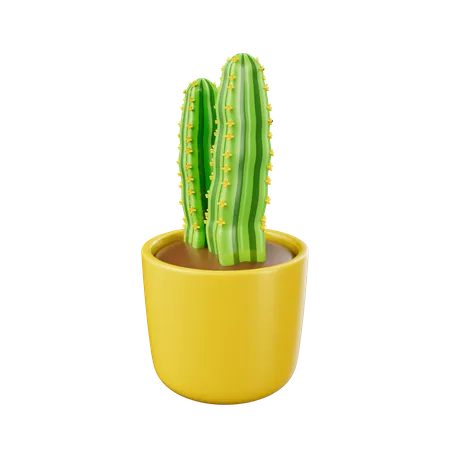 Cactus Pot  3D Icon