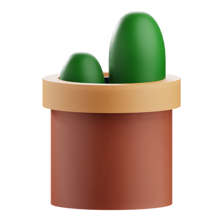 Cactus Pot  3D Icon