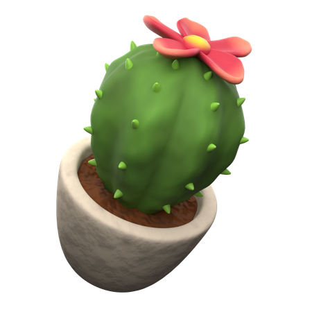 Cactus Pot  3D Icon