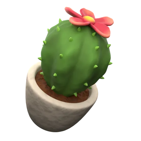 Cactus Pot  3D Icon