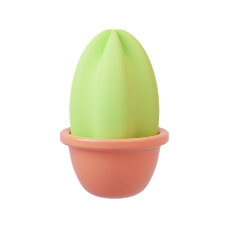 Cactus Pot  3D Icon