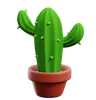 Cactus Pot