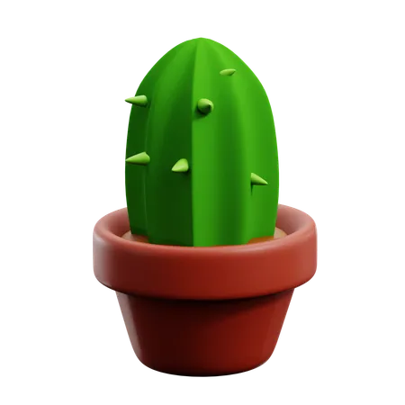 Cactus Pot  3D Icon