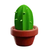 Cactus Pot