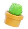 Cactus Pot