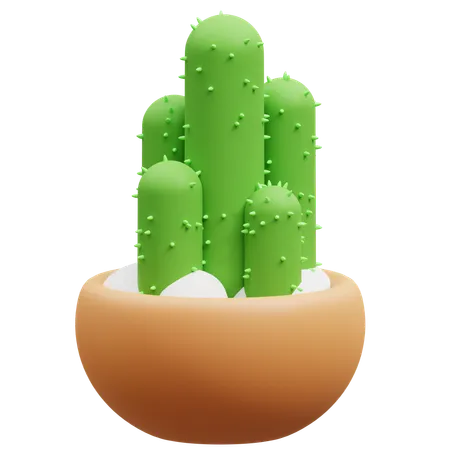 Cactus Pot  3D Icon