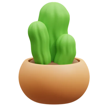 Cactus Pot  3D Icon