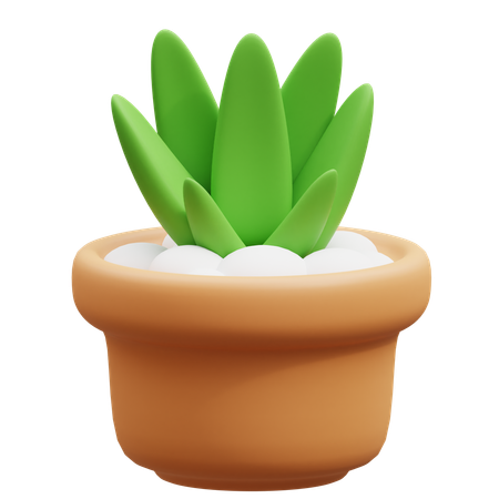 Cactus Pot  3D Icon