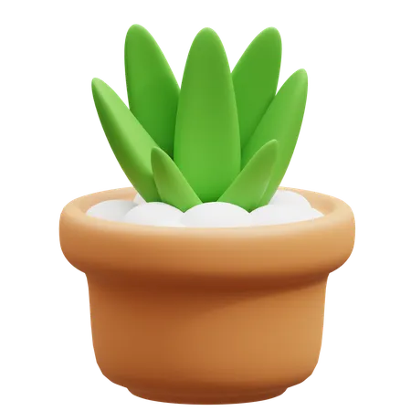 Cactus Pot  3D Icon