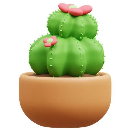 Cactus Pot  3D Icon