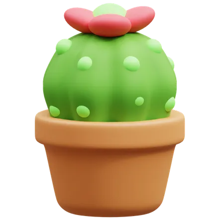 Cactus Pot  3D Icon