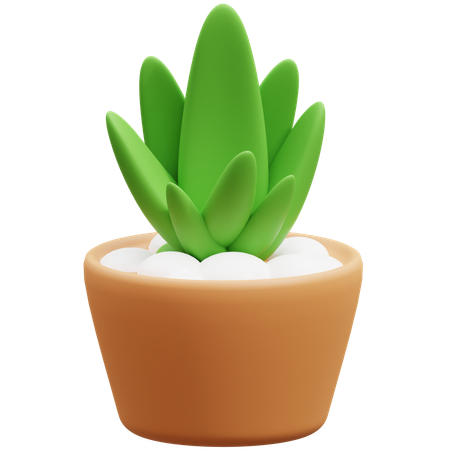 Cactus Pot  3D Icon