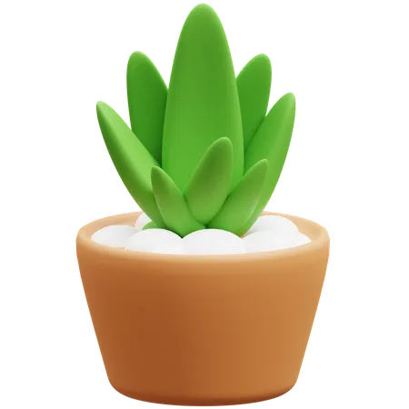 Cactus Pot  3D Icon