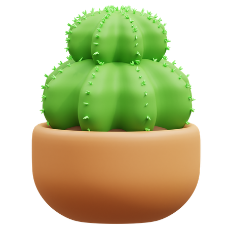 Cactus Pot  3D Icon