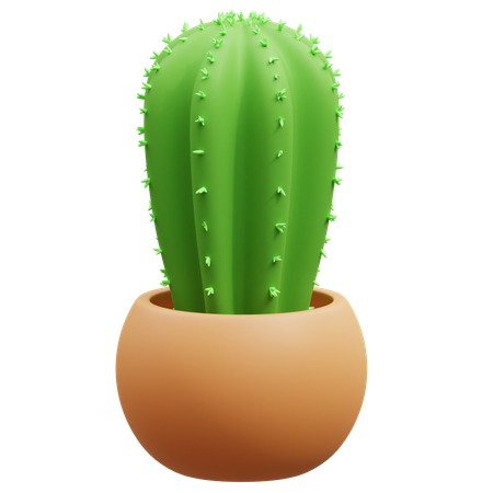 Cactus Pot  3D Icon