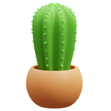 Cactus Pot  3D Icon