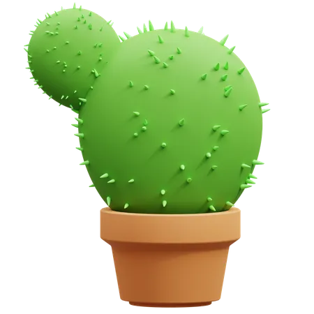 Cactus Pot  3D Icon