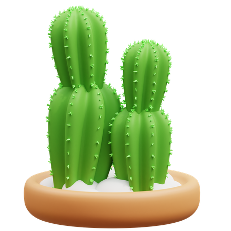 Cactus Pot  3D Icon