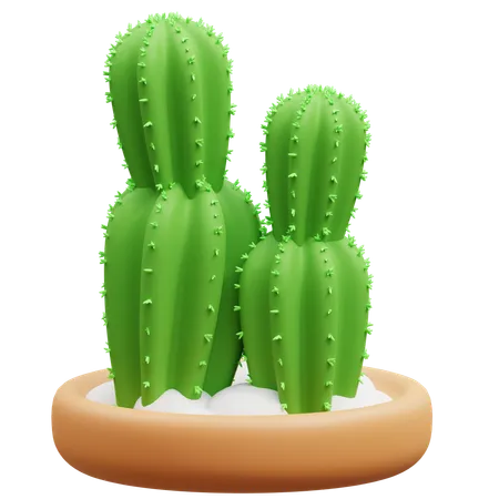 Cactus Pot  3D Icon