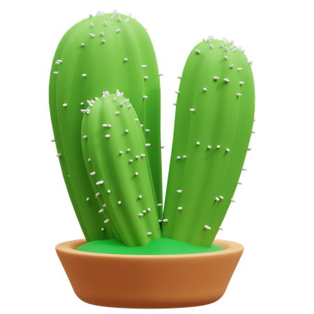 Cactus Pot  3D Icon