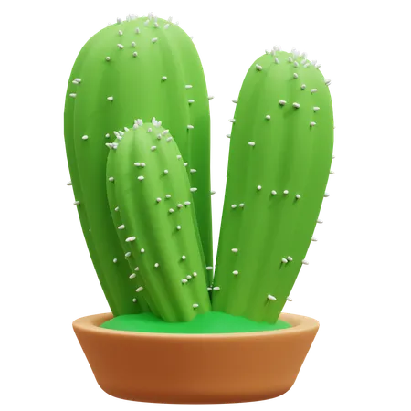 Cactus Pot  3D Icon