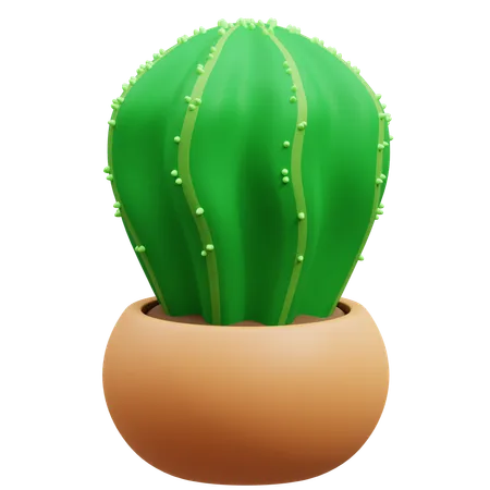 Cactus Pot  3D Icon