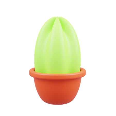 Cactus Pot  3D Icon