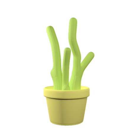 Cactus Pot  3D Icon