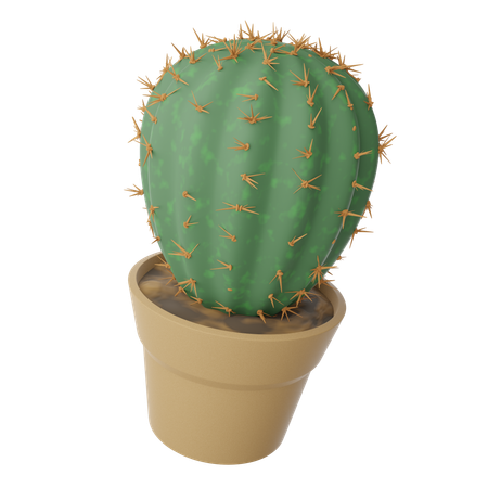 Cactus Pot  3D Icon