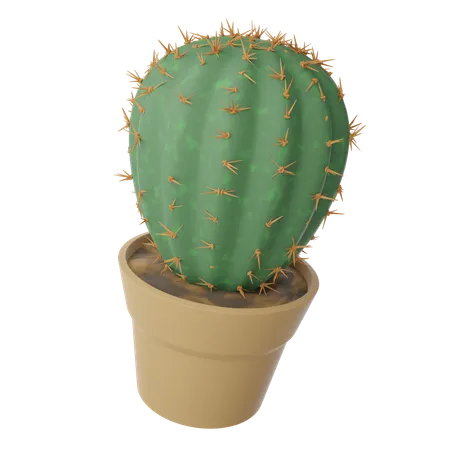 Cactus Pot  3D Icon